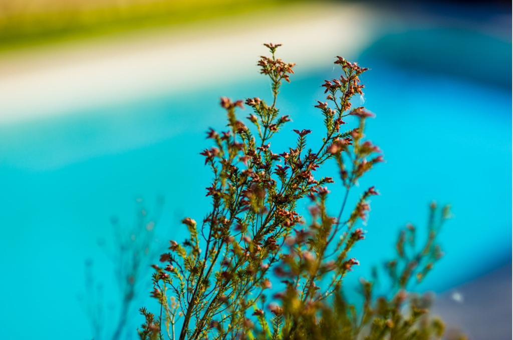 Quinta Do Cerqueiral Villa Arcos de Valdevez Ngoại thất bức ảnh